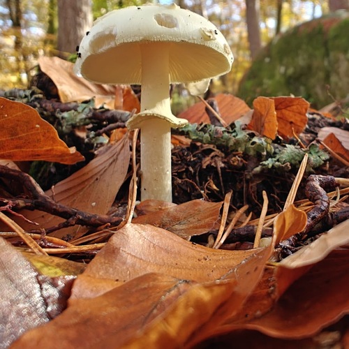 Photo #13962039