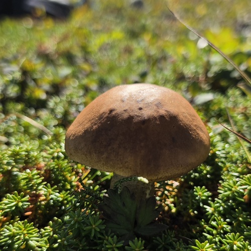 Photo #13962048