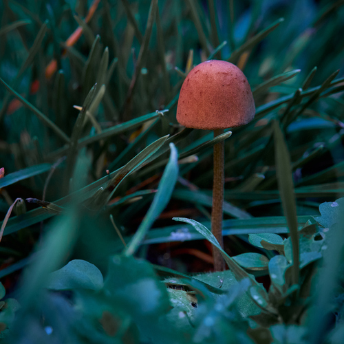 Photo #13962264