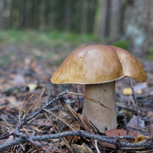 Photo #13962408