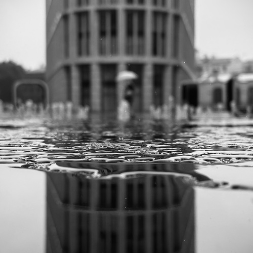 Фотография #13962506