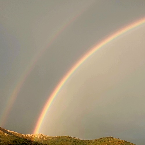 Photo #13962563