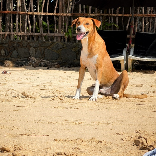 Photo #13962736