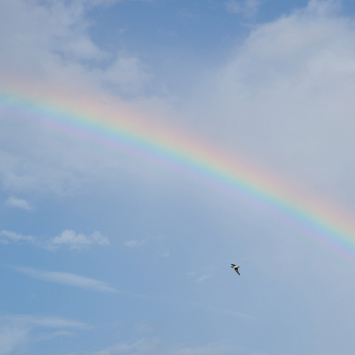 Photo #13963001