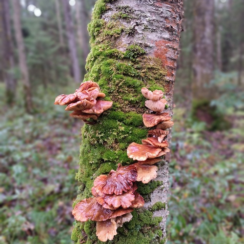 Photo #13963063
