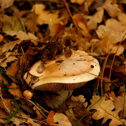 Photo #13963117