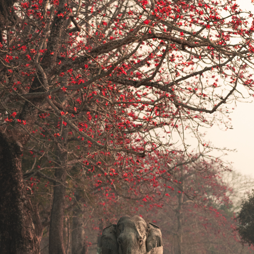 Photo #13963592