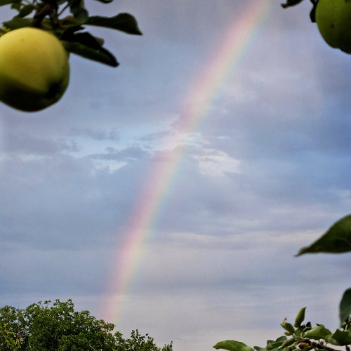 Photo #13963735