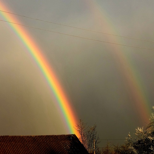 Photo #13963736