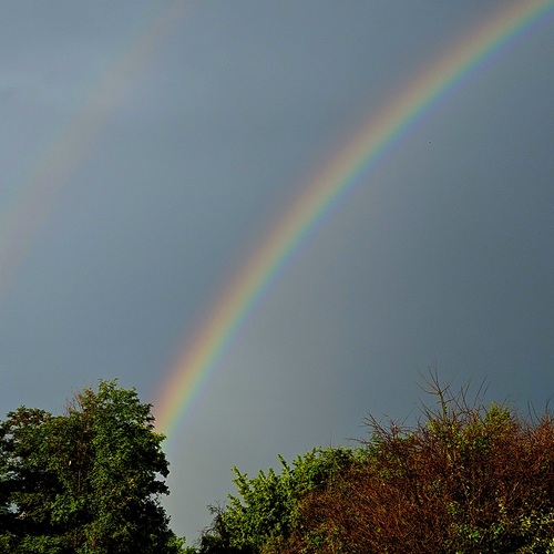 Photo #13963738