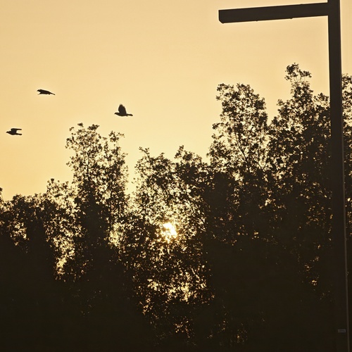 Photo #13964201