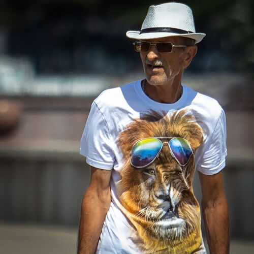 Photo #13964314