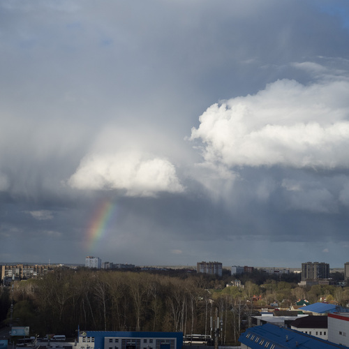 Photo #13964530