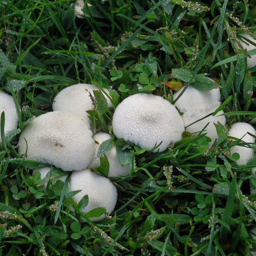 Photo #13964568