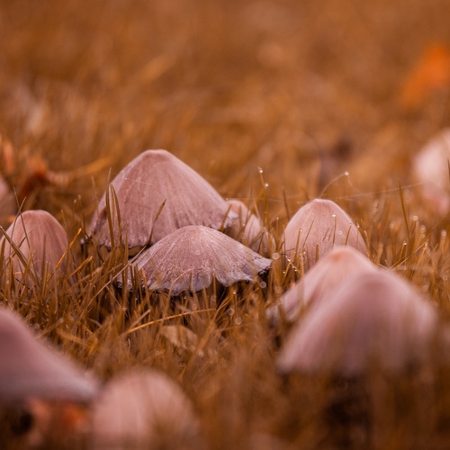 Photo #13964659
