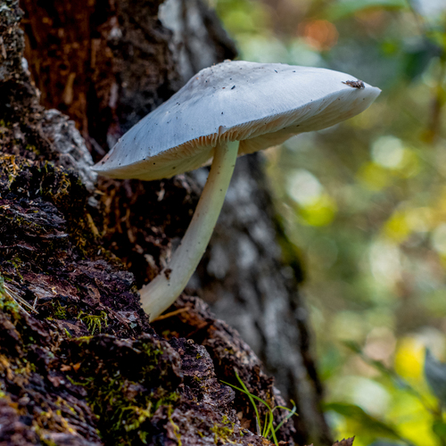 Photo #13964779