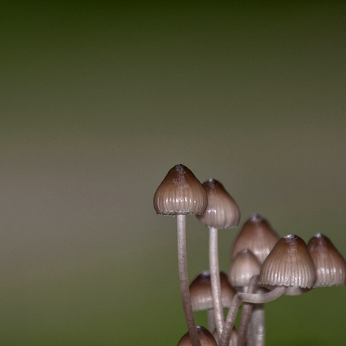 Photo #13964822