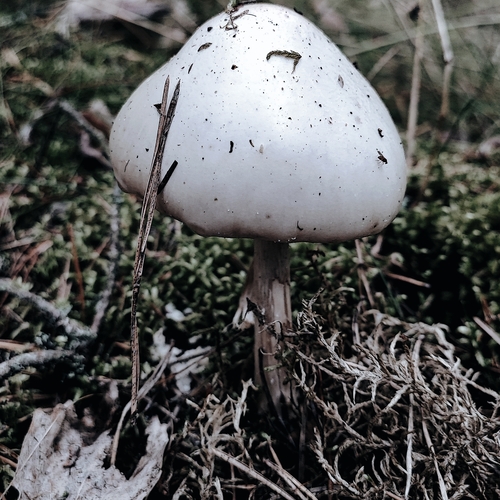 Photo #13964928
