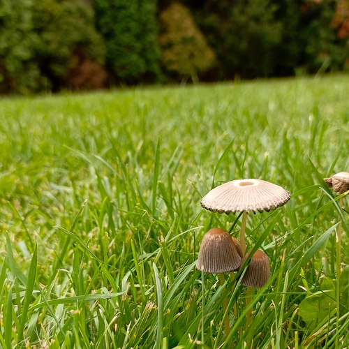 Photo #13965025