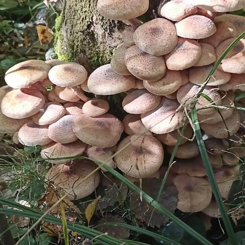 Photo #13965036
