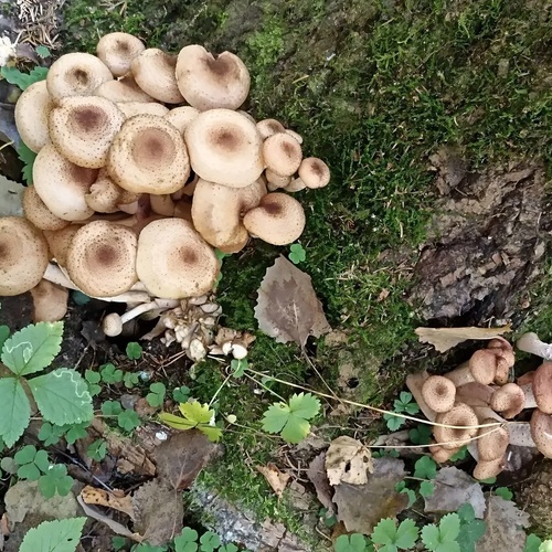 Photo #13965052