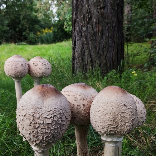 Photo #13965244