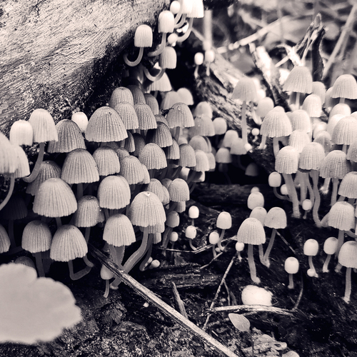 Photo #13965279