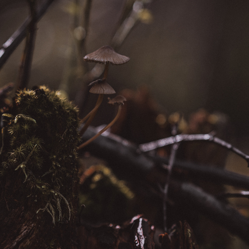 Photo #13965323