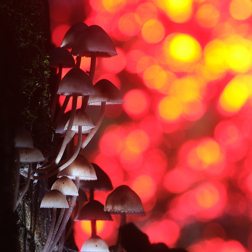 Photo #13965369