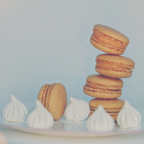 Photo #13965399