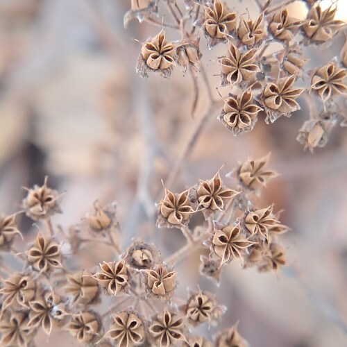 Photo #13965402