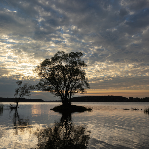 Photo #13965440