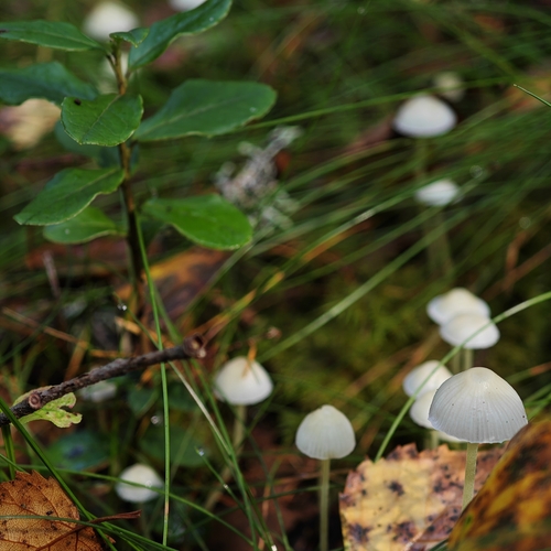 Photo #13965570