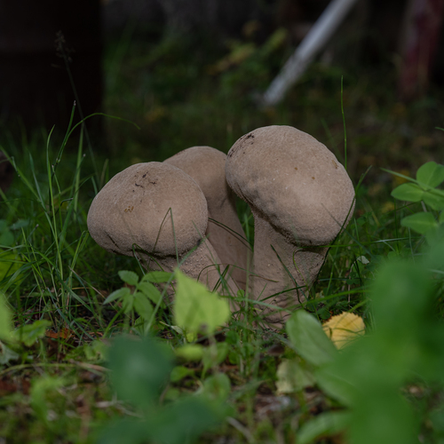 Photo #13965578