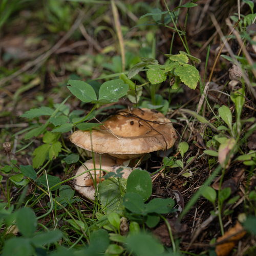 Photo #13965579