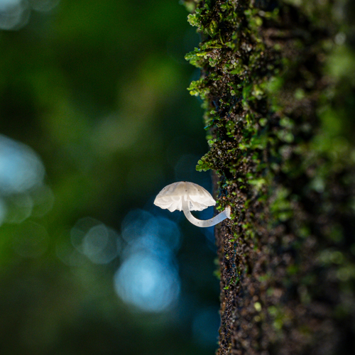 Photo #13965582