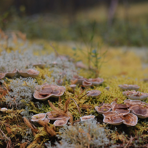Photo #13965629