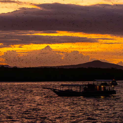 Photo #13965664