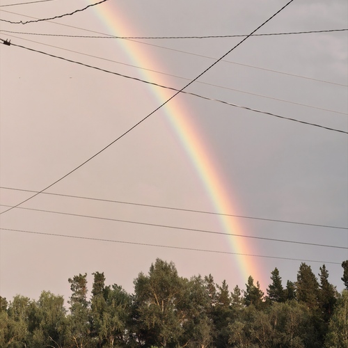 Photo #13965681