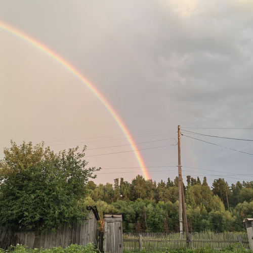 Photo #13965682