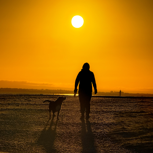 Photo #13965726