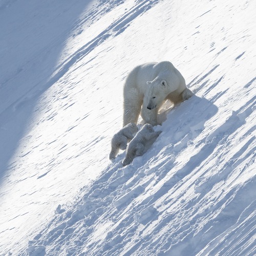 Photo #13965841