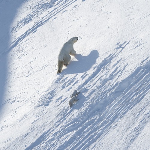 Photo #13965842