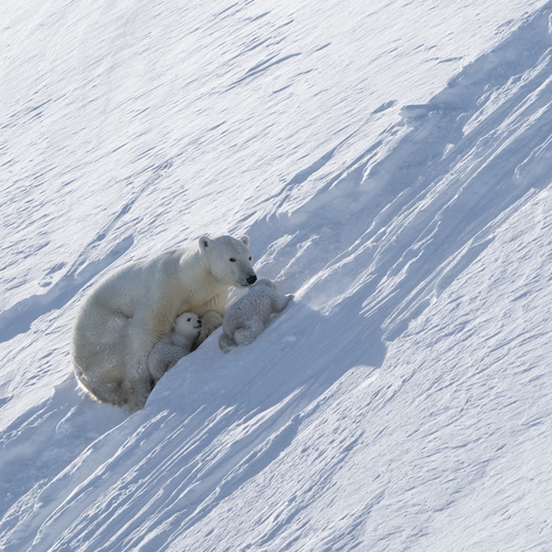 Photo #13965843