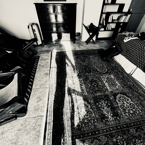Photo #13966209