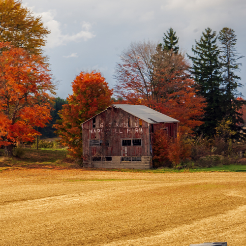Photo #13966501