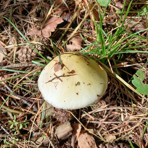 Photo #13966510