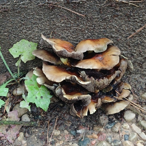 Photo #13966512
