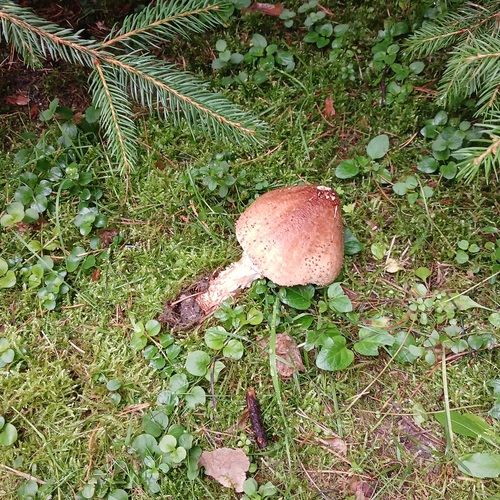 Photo #13966514