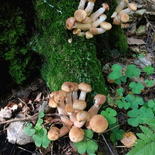 Photo #13966585